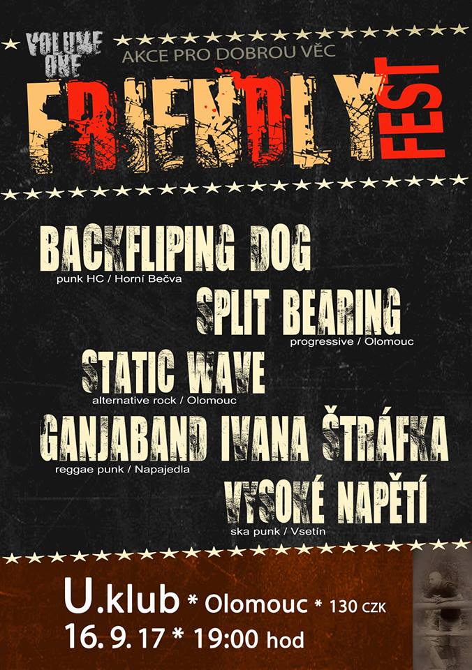 Friendly FEST